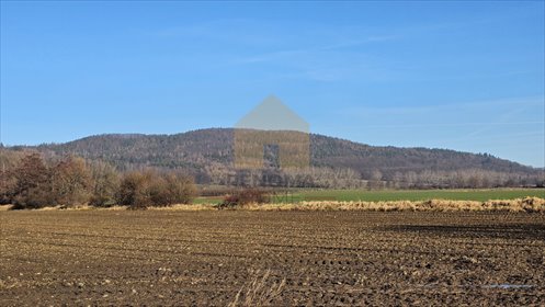 działka na sprzedaż 1200m2 działka Książnica