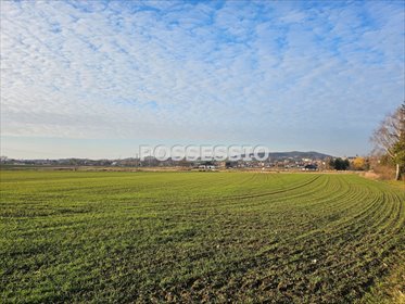 działka na sprzedaż 738m2 działka Strzegom