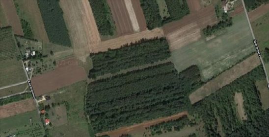 Działka leśna na sprzedaż Latosówka 2 800m2 Foto 1