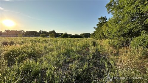 działka na sprzedaż 12170m2 działka Miłoszyce