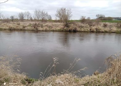 działka na sprzedaż 2890m2 działka Sobowice