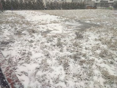 Polecam działkę budowlaną 800 m² w Mikołowie z mediami działka Mikołów
