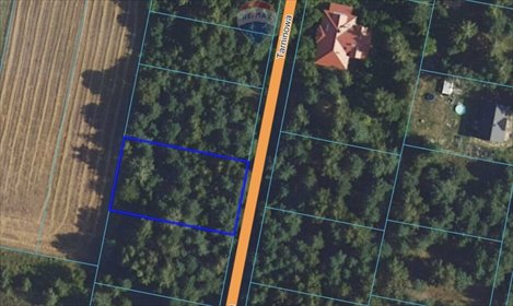 działka na sprzedaż 1434m2 działka Kuklówka Radziejowicka, Tarninowa