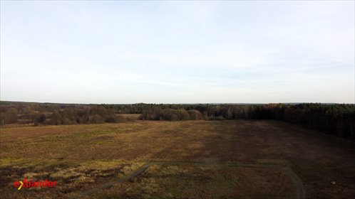 Atrakcyjna działka 3 141 m² w Trzebule - blisko natury. działka Trzebule