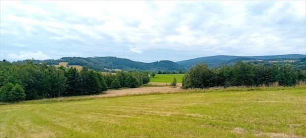 Działka 3446 m² z widokami i mediami - polecam działka Michałkowa, Michałkowa