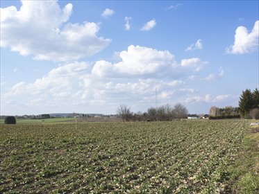 Blat do kuchni ogarniesz za płotem-818 m² pod dom działka Studzian