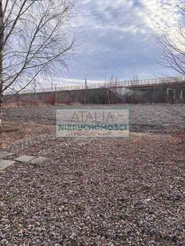 Działka 2514 m² z budynkami i mediami, Opacz-Kolonia działka Opacz-Kolonia