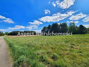 działka na sprzedaż 4235m2 działka Baciuty