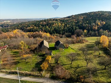 Urokliwe siedlisko 100 m2 z dużą działką i zabudowaniami dom Krasne-Lasocice