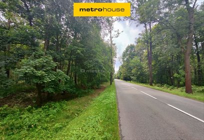 Działka leśna 5218 m² z dojrzałym lasem i potencjałem. działka Szczejkowice, Gliwicka