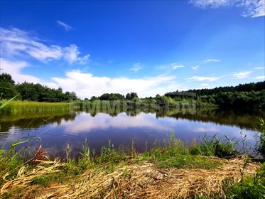 Urokliwe siedlisko z jeziorem i 4 domami - polecam! działka Bosowice