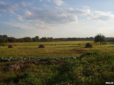 działka na sprzedaż 3553m2 działka Podłęcze, Podłęcze