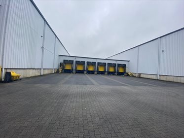 Lokal użytkowy na wynajem Wola Rakowa 9 500m2 Foto 4