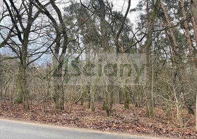 Działka 6500 m² z mediami i MPZP - polecam! działka Książenice