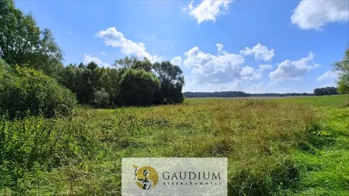Sprzedam działkę 3100 m² w Kiersinach - idealna na wymarzony dom działka Kiersiny
