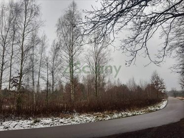 Działka rolna na sprzedaż Stare Polesie 3 000m2 Foto 7