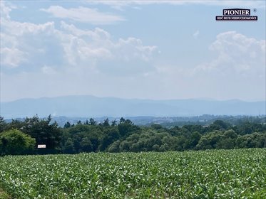 działka na sprzedaż 29776m2 działka Zamarski