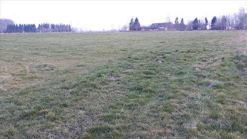 Działka 1000 m² pod zabudowę blisko morza. działka Będzinko