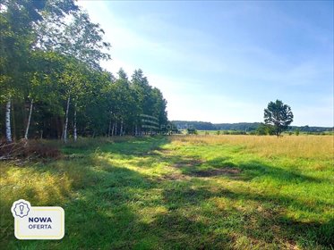 działka na sprzedaż 17600m2 działka Porbady