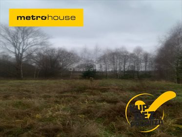 działka na sprzedaż 2700m2 działka Motycz, Konopnica