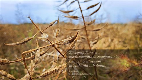 działka na sprzedaż 6700m2 działka Nałęczów