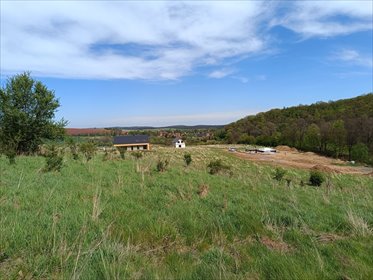 działka na sprzedaż 1005m2 działka Struga