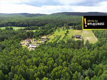 działka na sprzedaż 4700m2 działka Makoszyn