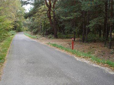 Działka rolna na sprzedaż Węgliska, Rakszawa 17 200m2 Foto 1