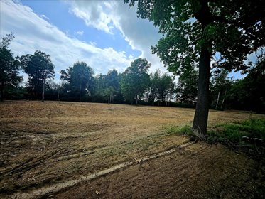 działka na sprzedaż 7300m2 działka Zgłobice, Liściasta