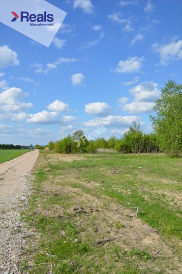 Działka budowlana na sprzedaż Kaliszki 1 290m2 Foto 7