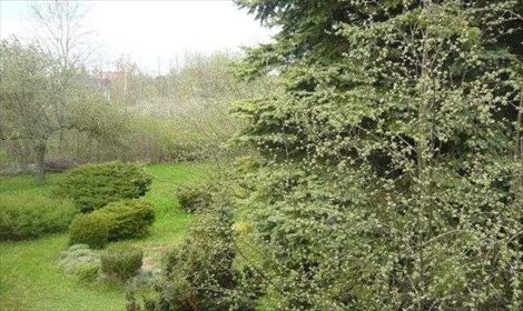Działka budowlana na sprzedaż Bytom, Górniki, bytom 2 658m2 Foto 2
