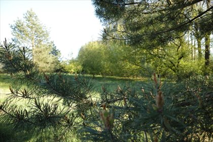 działka na sprzedaż 1759m2 działka Nekielka, Kwiatowa Droga