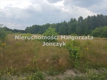 Działka inna na sprzedaż Zduńska Wola, Nowe Miasto 13 051m2 Foto 1