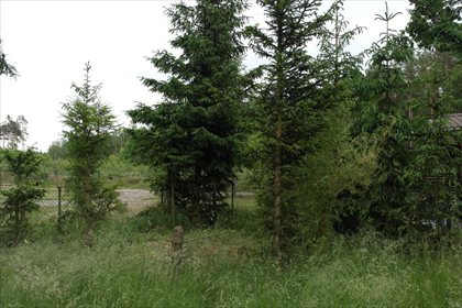Działka budowlana na sprzedaż Biały Bór 504m2 Foto 6