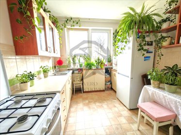 mieszkanie na sprzedaż 43m2 mieszkanie Wrocław, Hermanowska