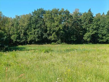 działka na sprzedaż 2445m2 działka Górki