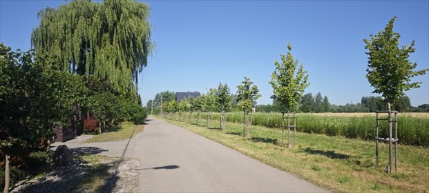 działka na sprzedaż 3000m2 działka Koczargi Nowe, Wiosenna