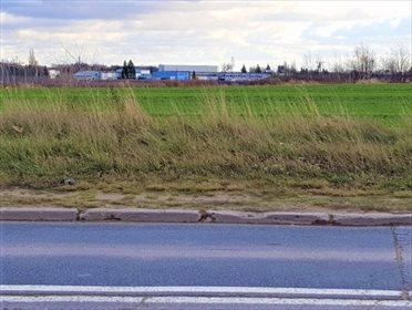 działka na sprzedaż 10000m2 działka Poznań, Grunwald, Fabianowo