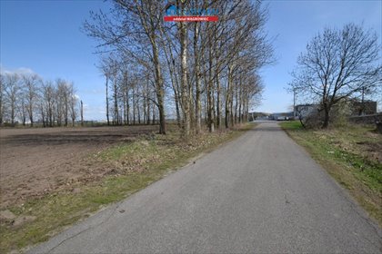 Działka komercyjna 5000 m2 z możliwością zabudowy działka Łęgowo