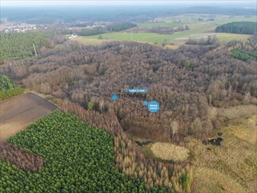 Działka rolna 8,21 ha z lasami i potencjałem, Krosnowo działka Krosnowo
