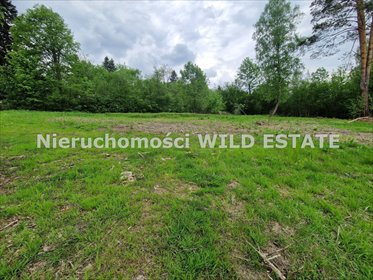 Działka w Bieszczadach z dostępem do mediów i potencjałem działka Czarna, Olchowiec, Olchowiec