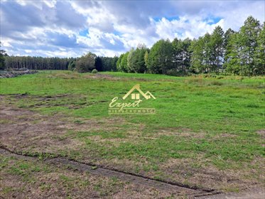 działka na sprzedaż 4123m2 działka Radomek
