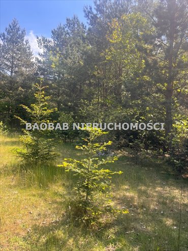 dom na sprzedaż 1192m2 dom Stawinoga, Zatorska
