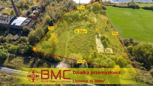 działka na sprzedaż 16266m2 działka Lisowice, Cegielniana