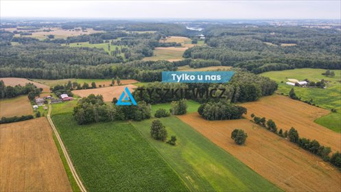 działka na sprzedaż 30045m2 działka Szumleś Królewski