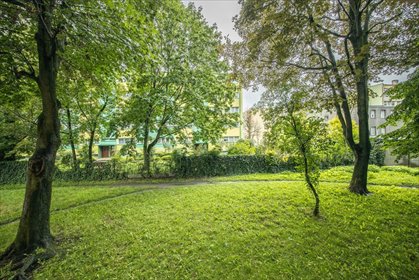 Komfortowe 3 pokoje na zielonych Kozinach mieszkanie Łódź, Koziny, Koziny, Stefana Okrzei