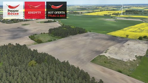 Działka przemysłowa 92 700 m² z dostępem do infrastruktury działka Rajkowy, Jesionowa