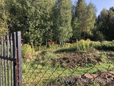 działka na sprzedaż 1500m2 działka Kozerki