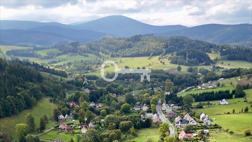 Dwie działki 3534 m² w Szarocinie (blisko Kamiennej Góry) działka Szarocin