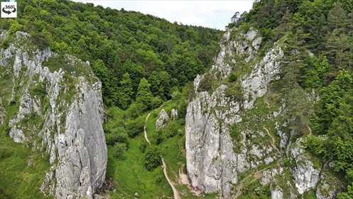 Działka budowlana na sprzedaż Karniowice 14 000m2 Foto 4